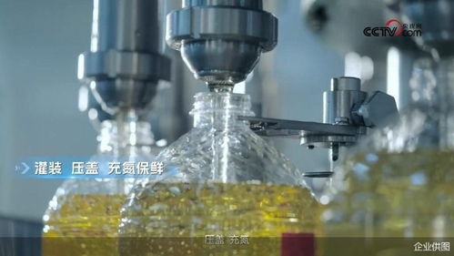 央視網探訪多力安心工廠 揭秘降低油煙技術專利背后的創(chuàng)新奧秘